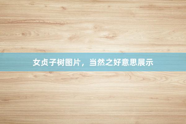 女贞子树图片，当然之好意思展示