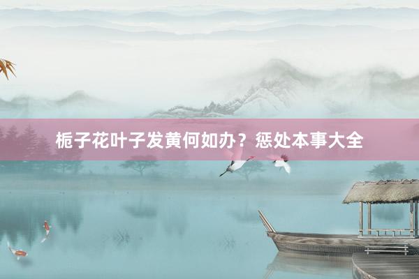栀子花叶子发黄何如办？惩处本事大全